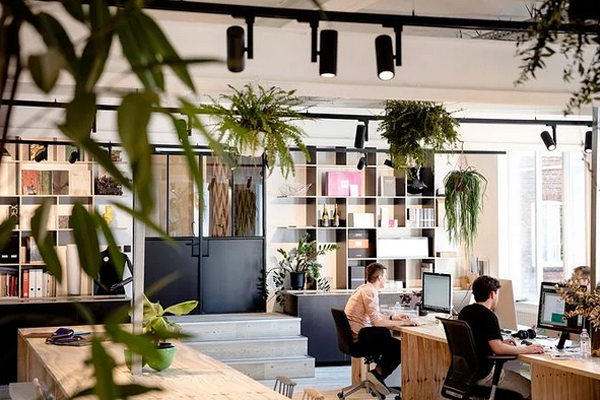 國(guó)富縱橫 國(guó)富縱橫